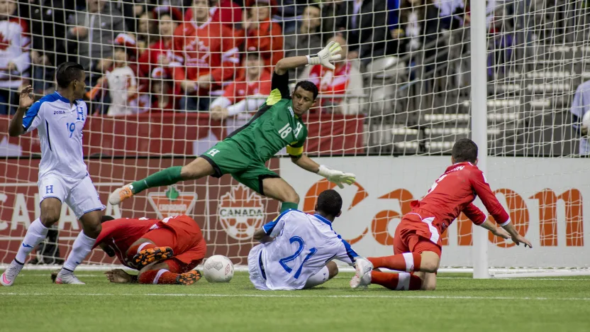 23004252035_6f4dd8da8a_o