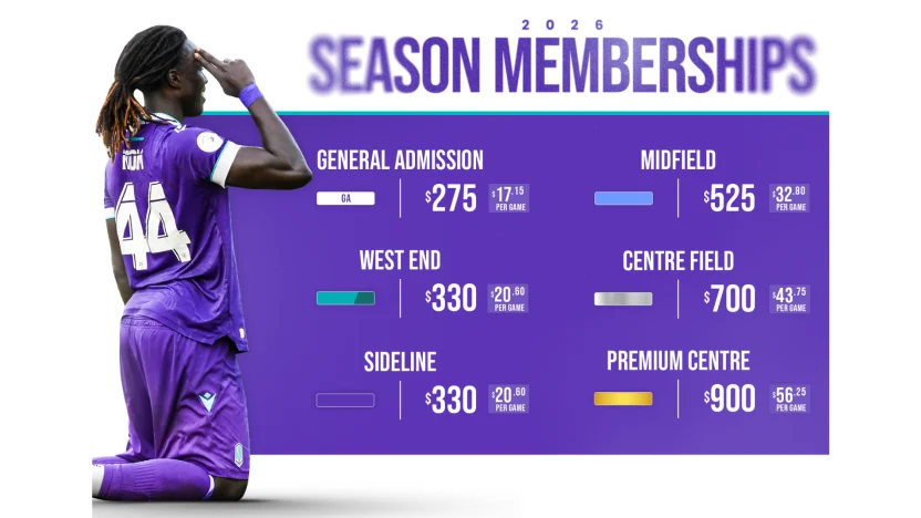 Website article image - pricing