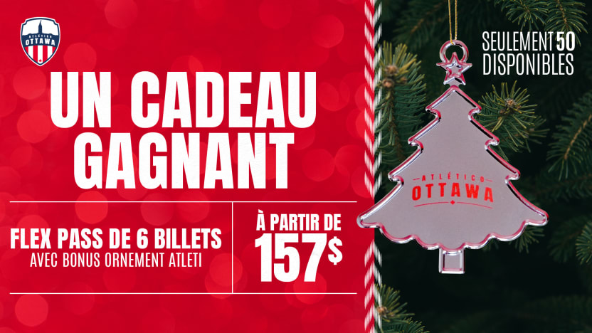 ATO-2026-6-Ticket-FlexPasses-Holiday-fr2