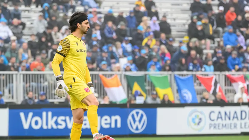 Halifax Wanderers sign two-time Golden Glove winner Marco Carducci