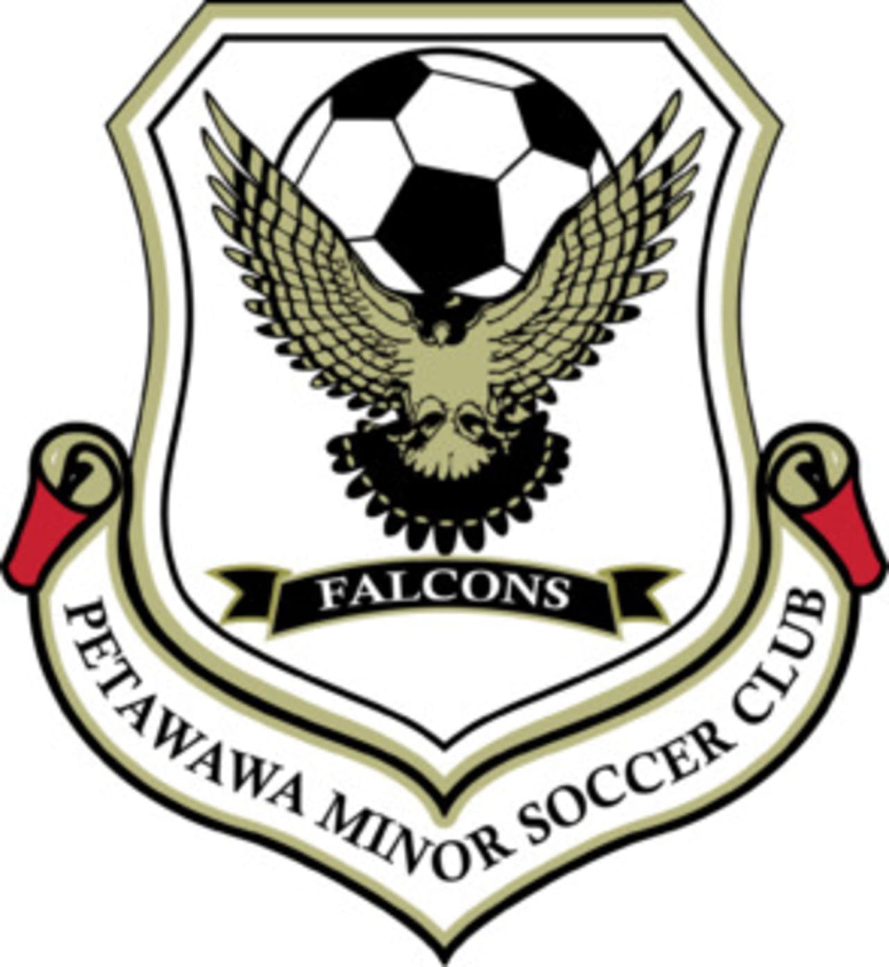 Petawawa Minor Soccer Club