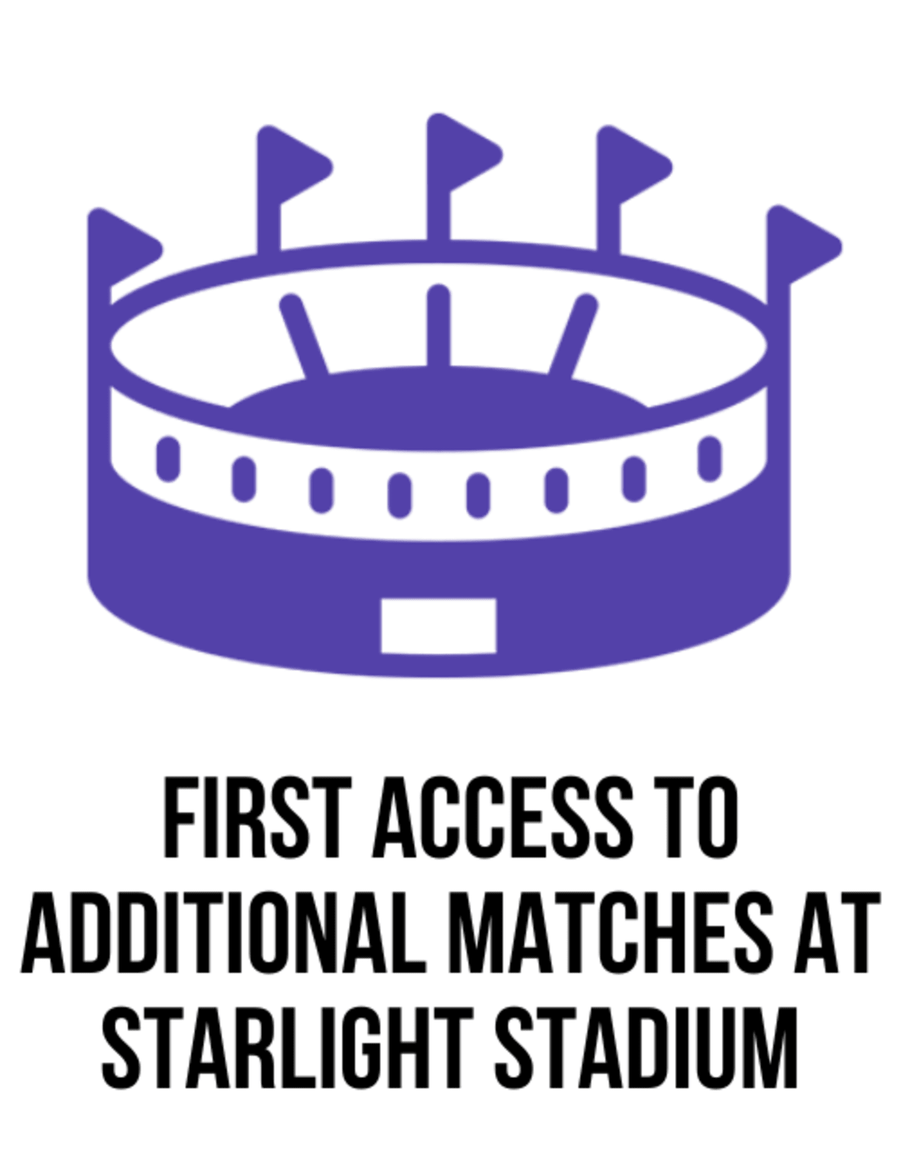 stadium icon