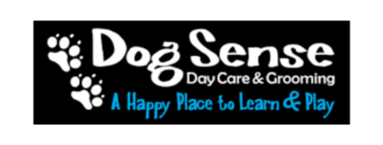 Dog Sense Business Spotlight