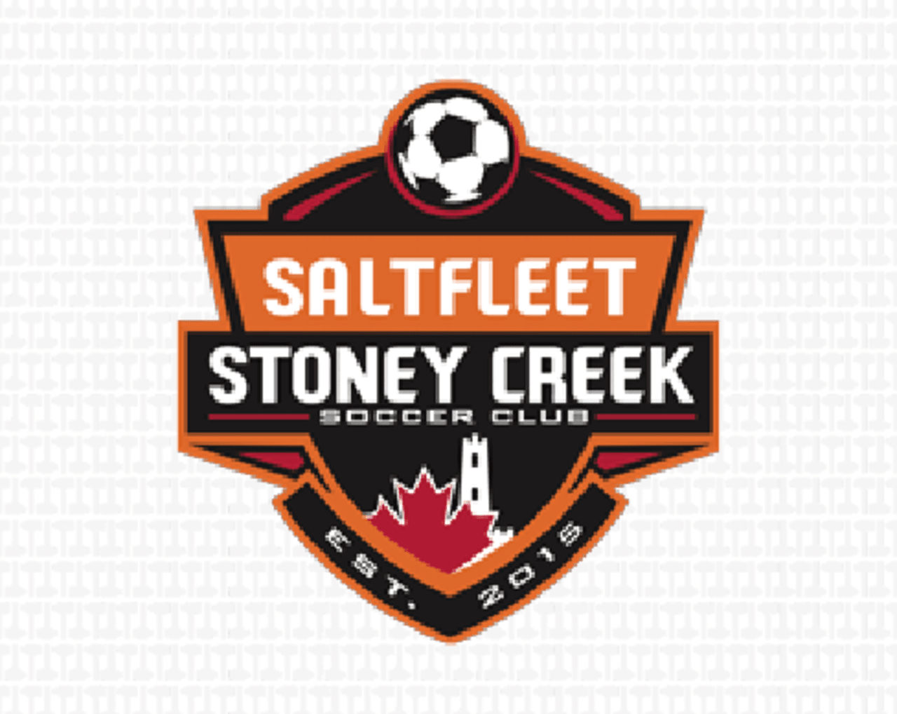 Saltfleet Stoney Creek Soccer Club