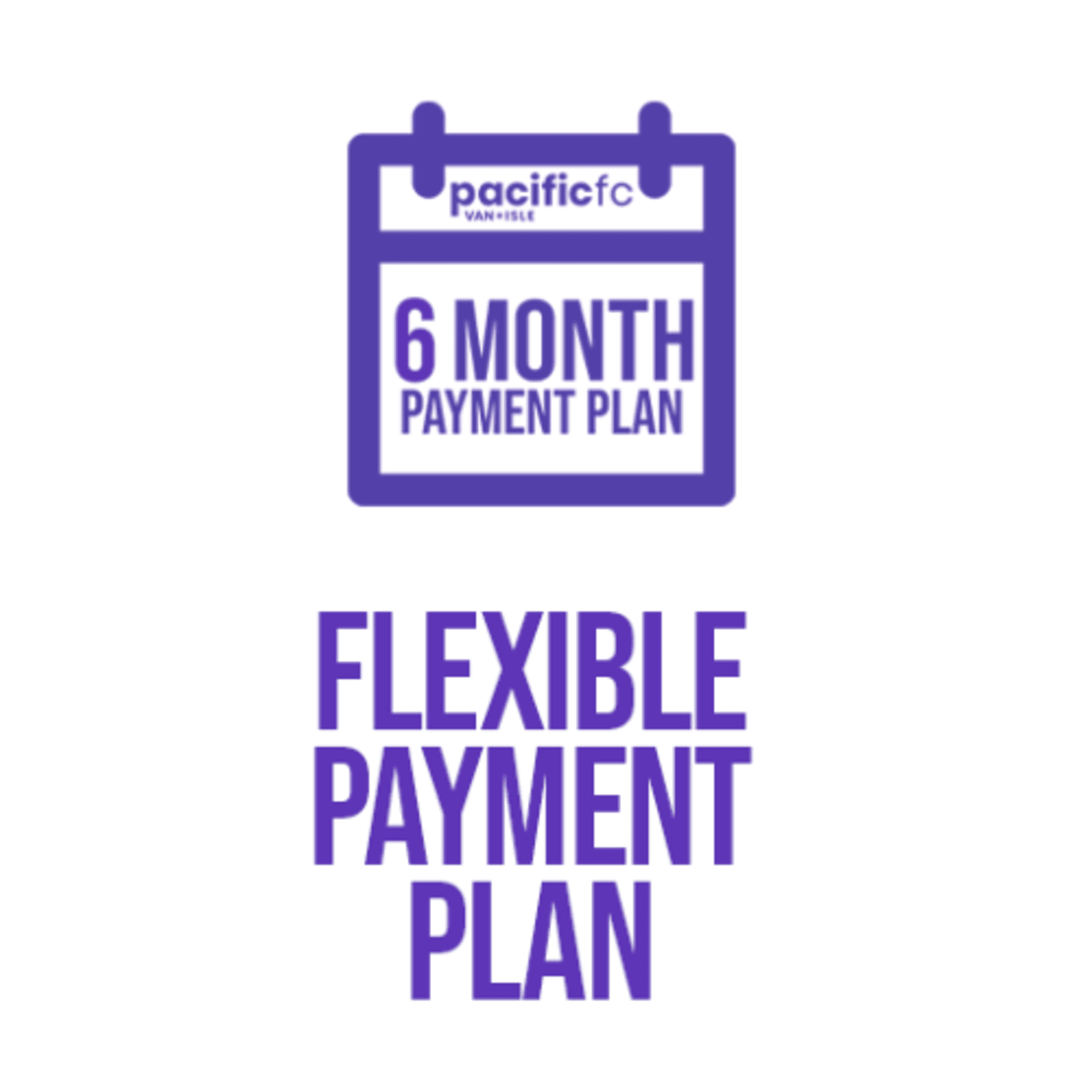 payment plan icon