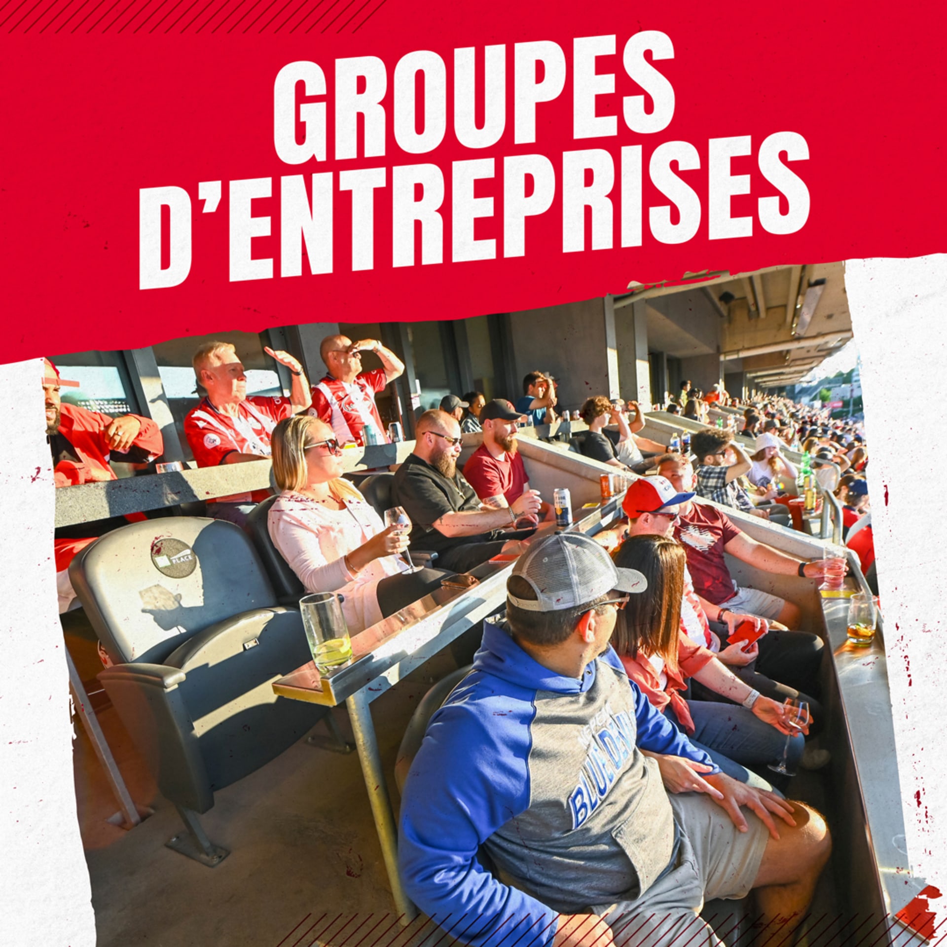 Groupes D'Entreprises