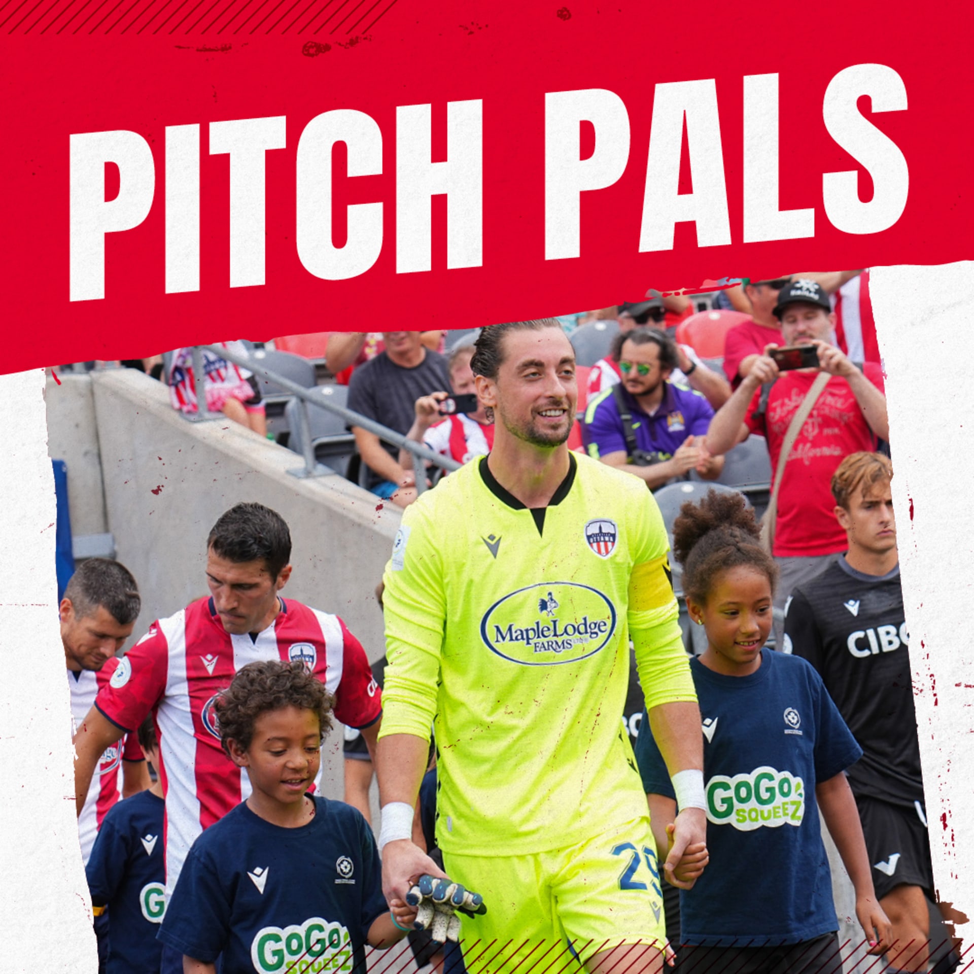 Pitch Pals