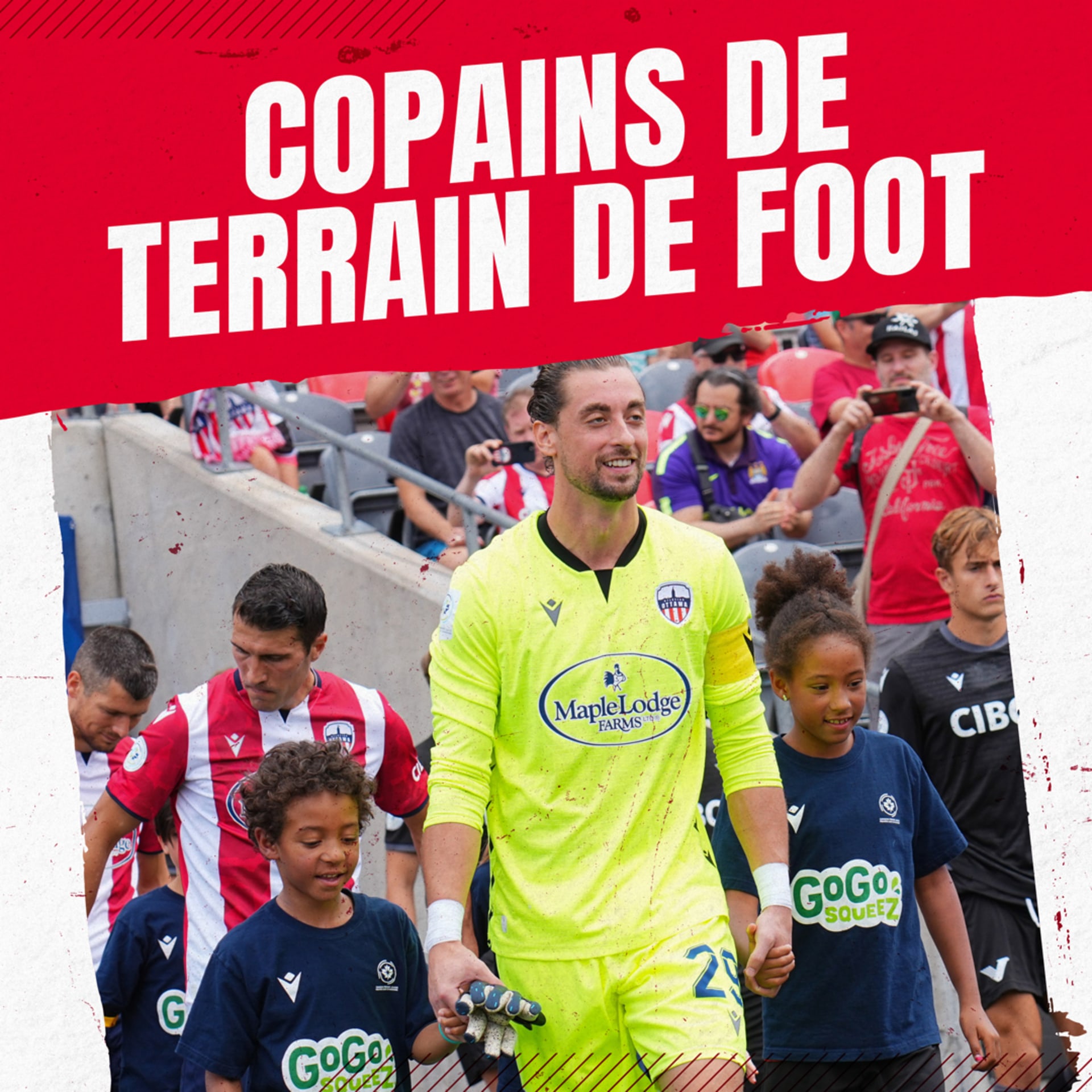 Copains De Terrain De Foot