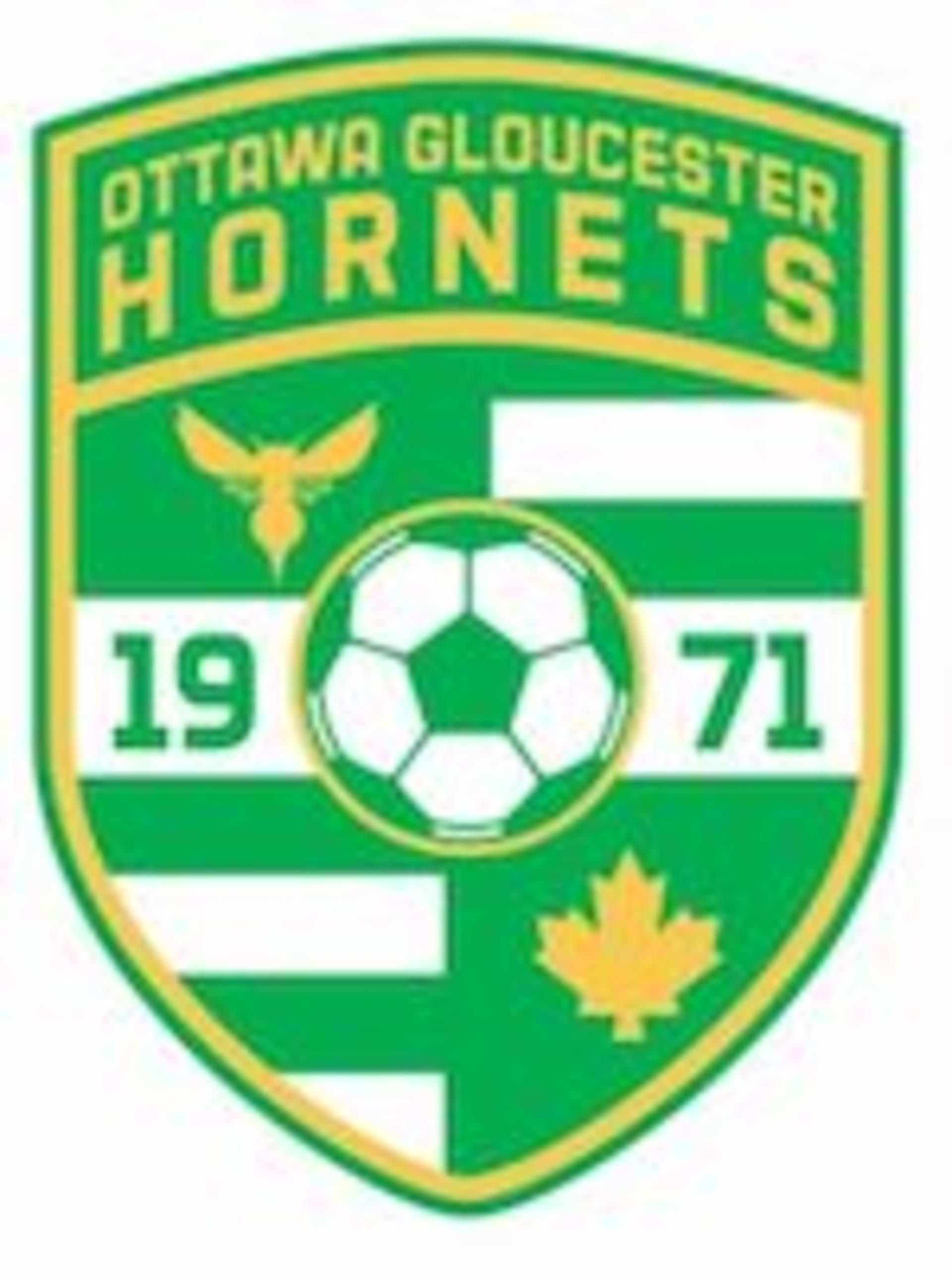 Ottawa Gloucester Hornets