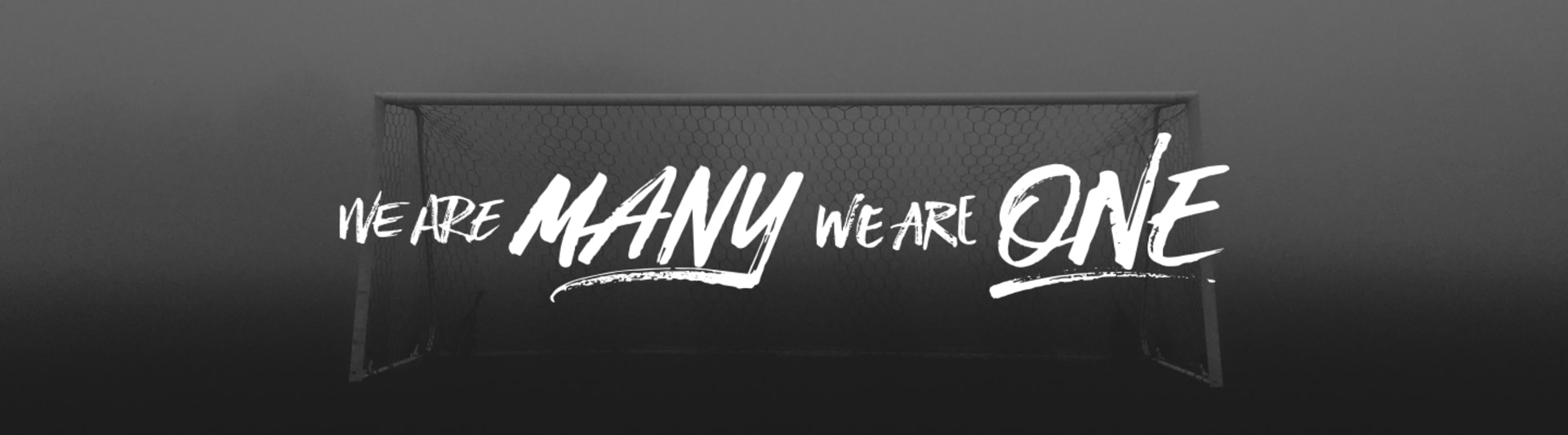 We Are Many We Are One
