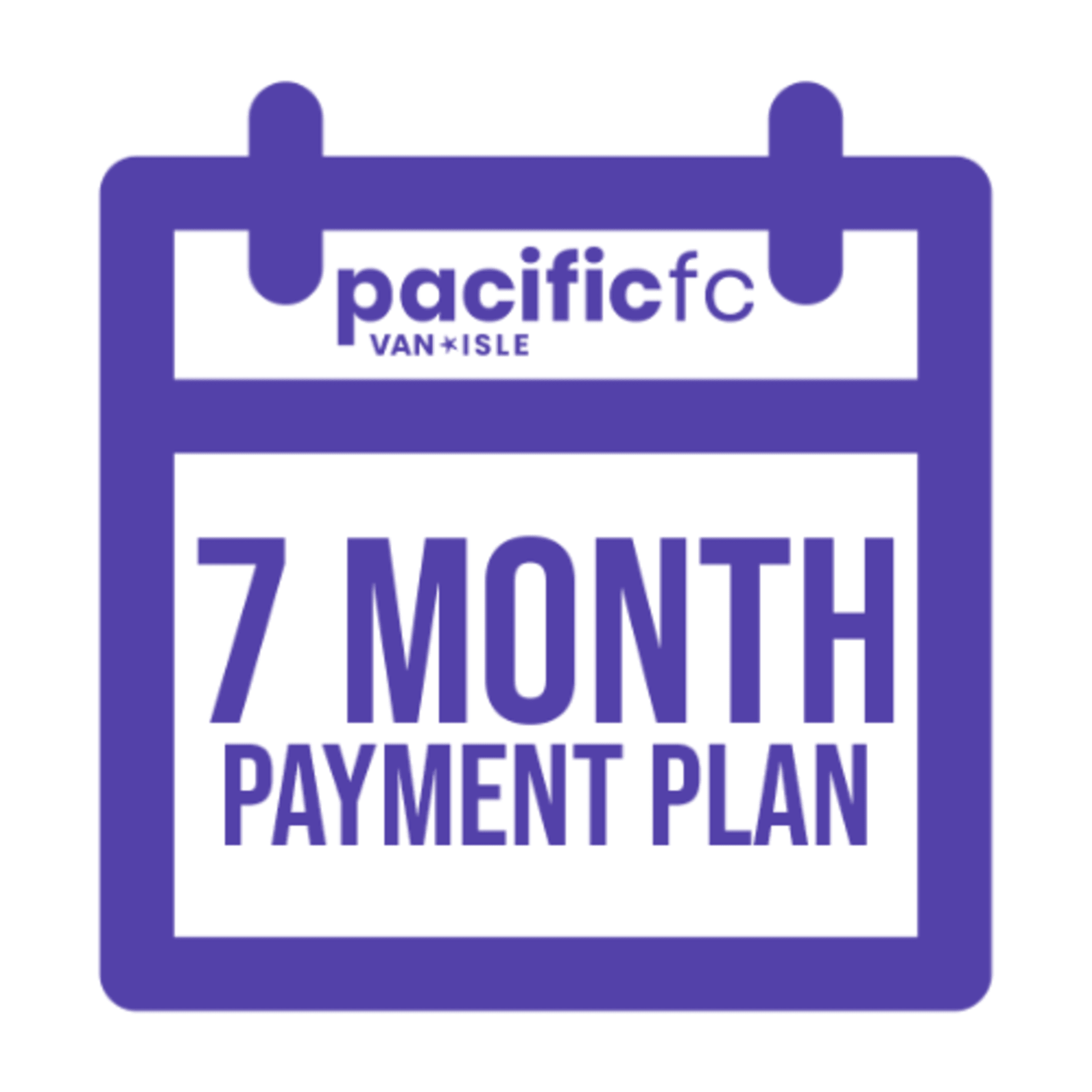payment plan icon