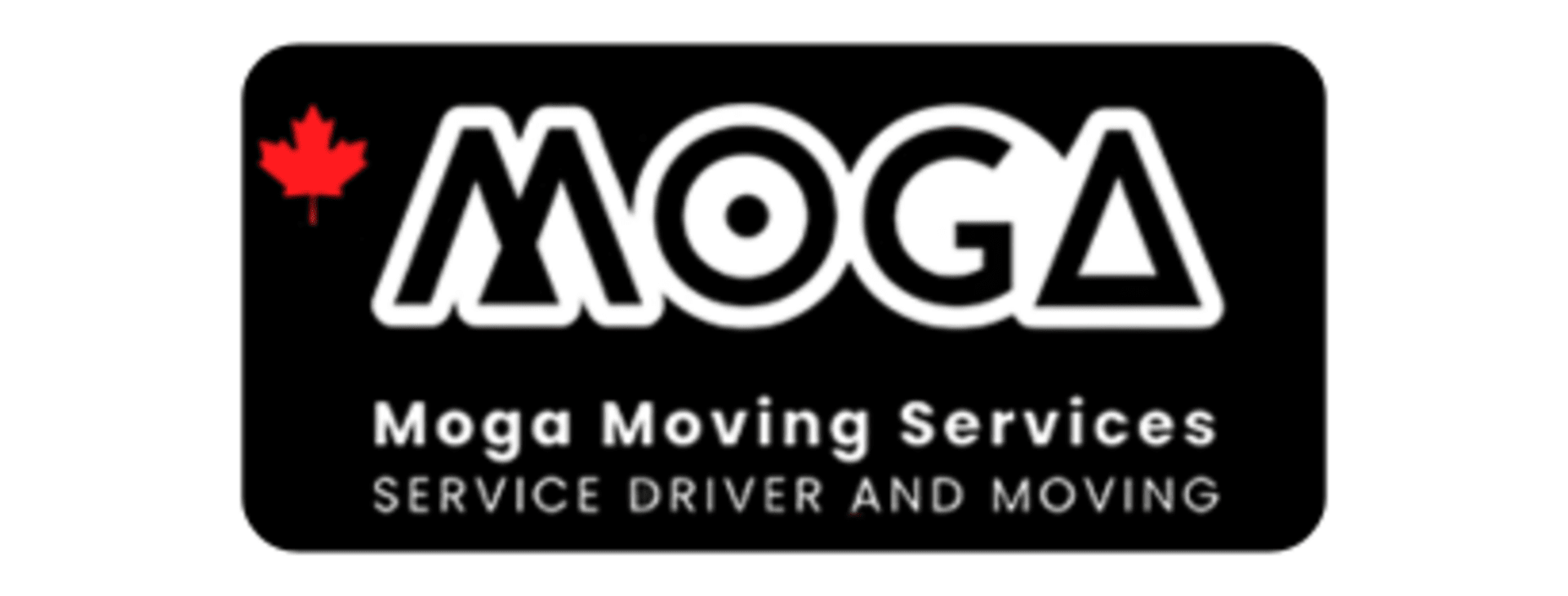 MOGA Business Spotlight