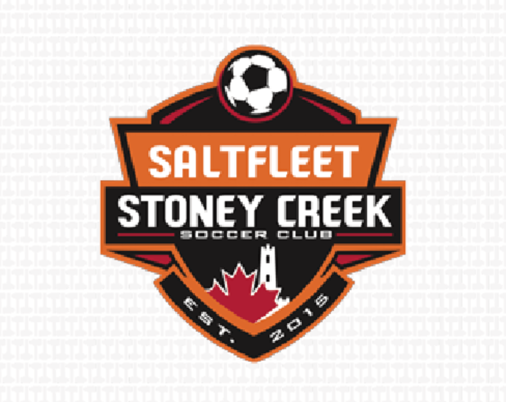 Saltfleet Stoney Creek Soccer Club