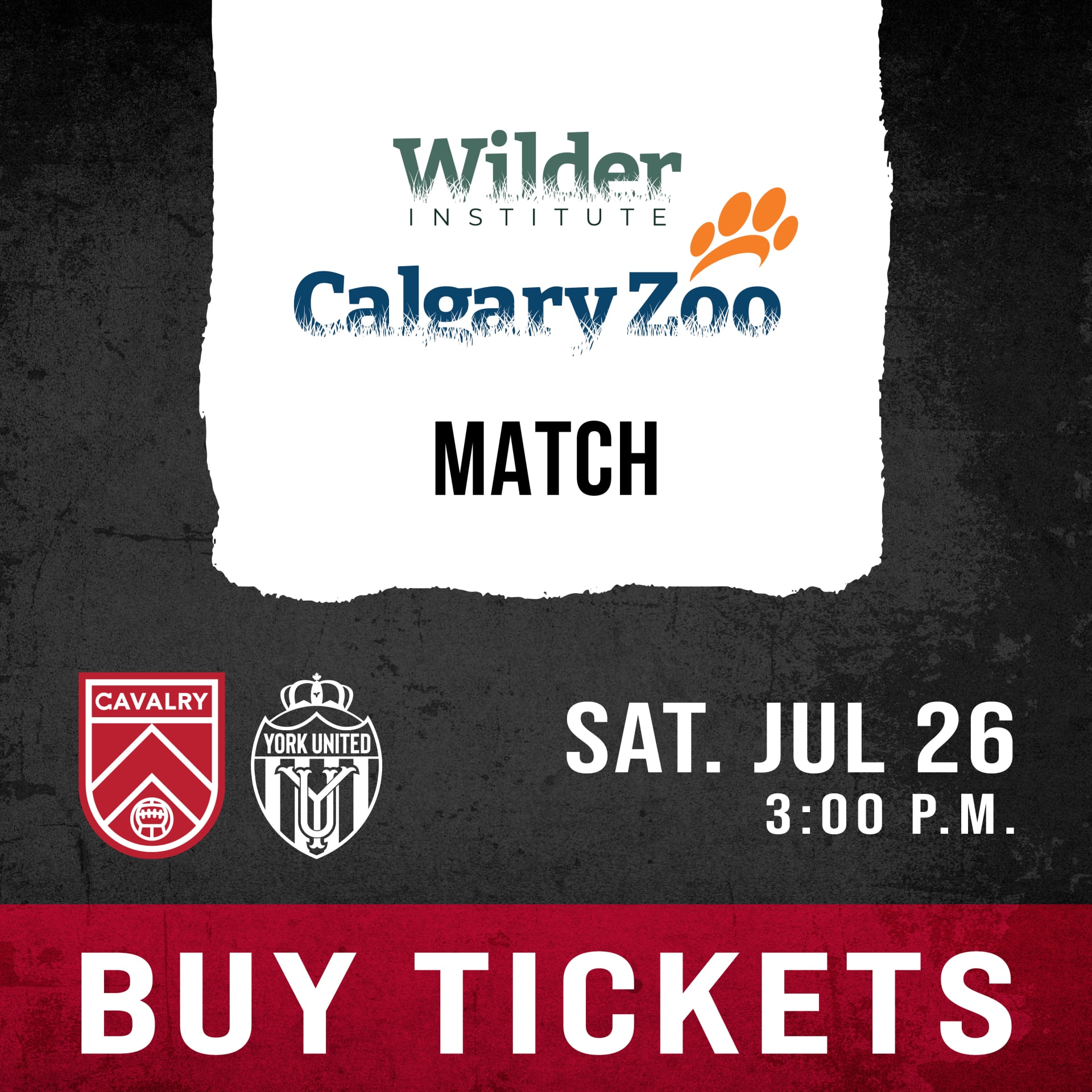 Zoo Match