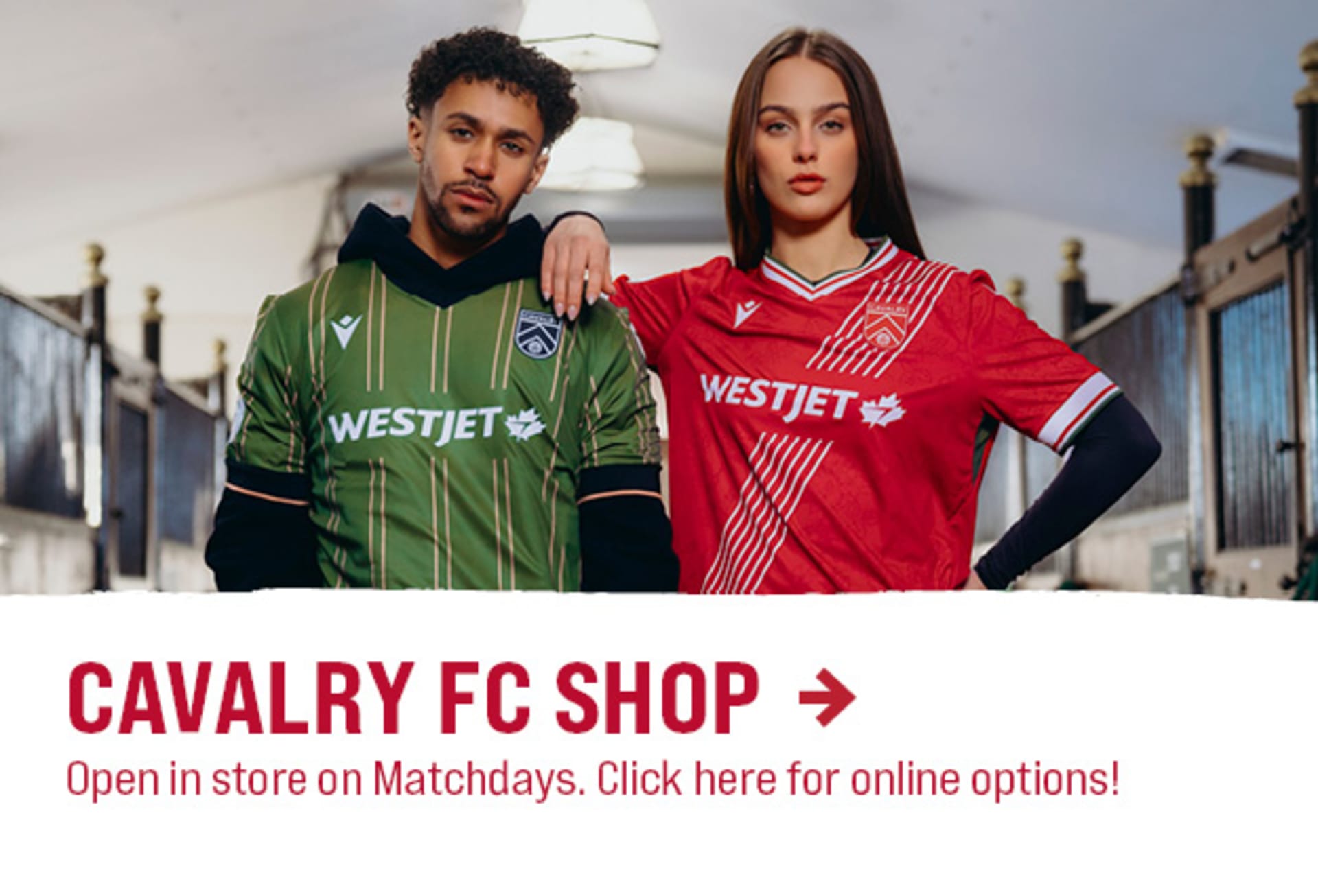 shop