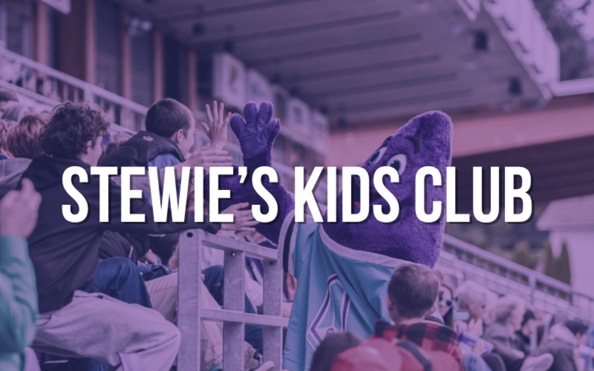 stewies kids club