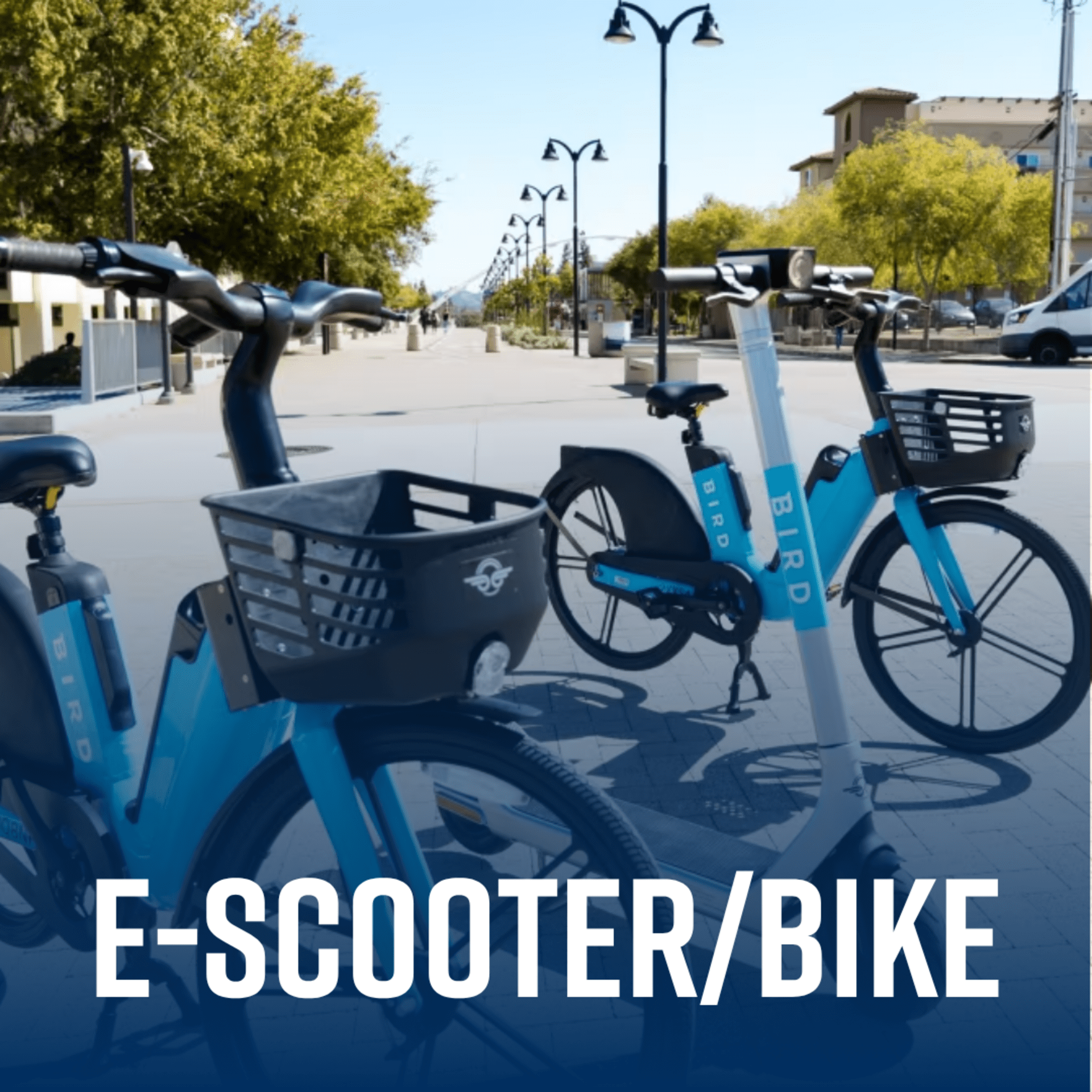 scoot