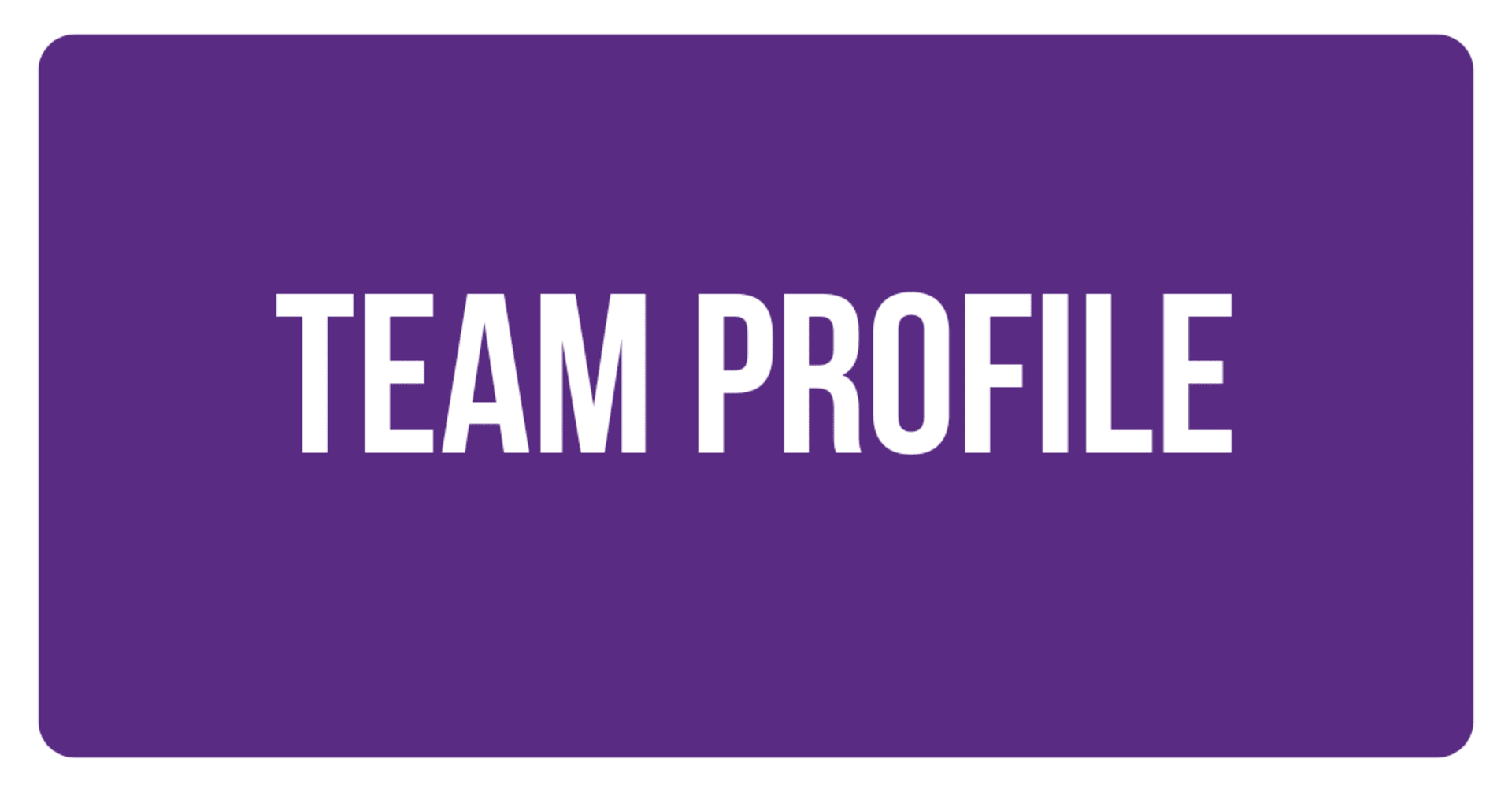 team profile