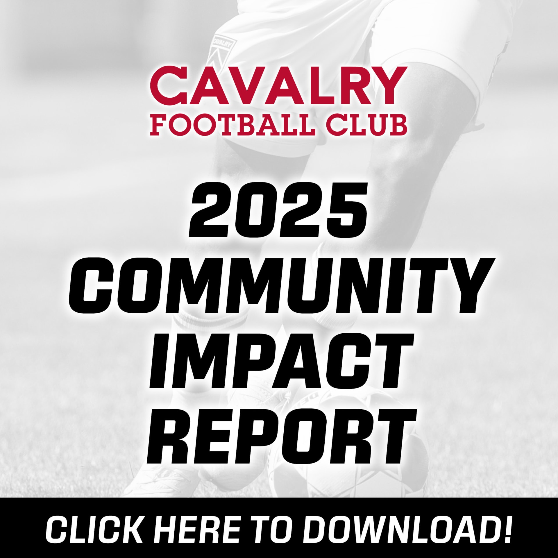 Community Impact Report