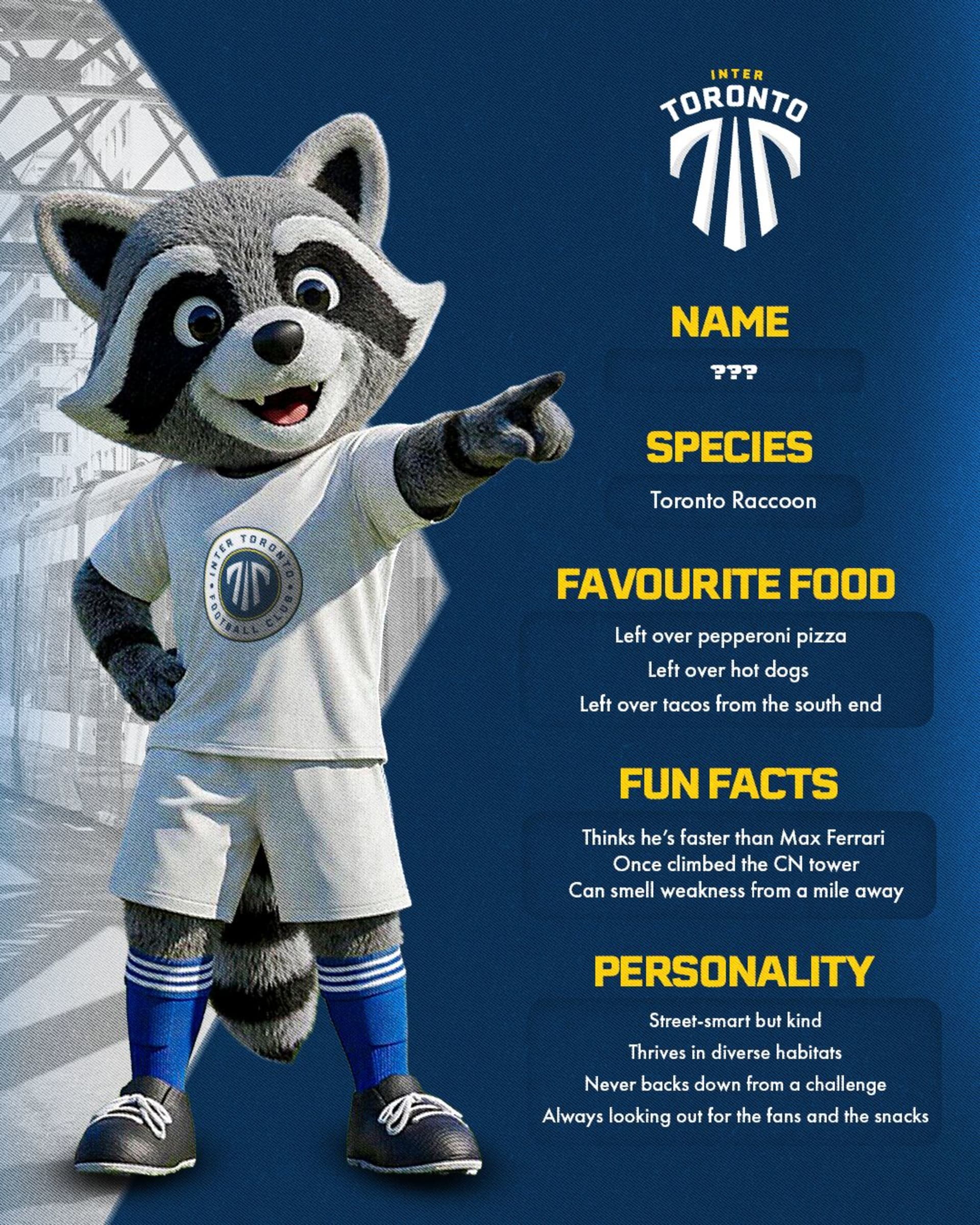 Raccoon Tickets Inter Toronto