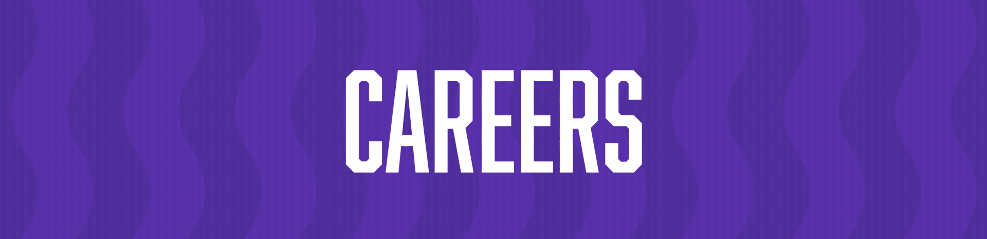 careers banner