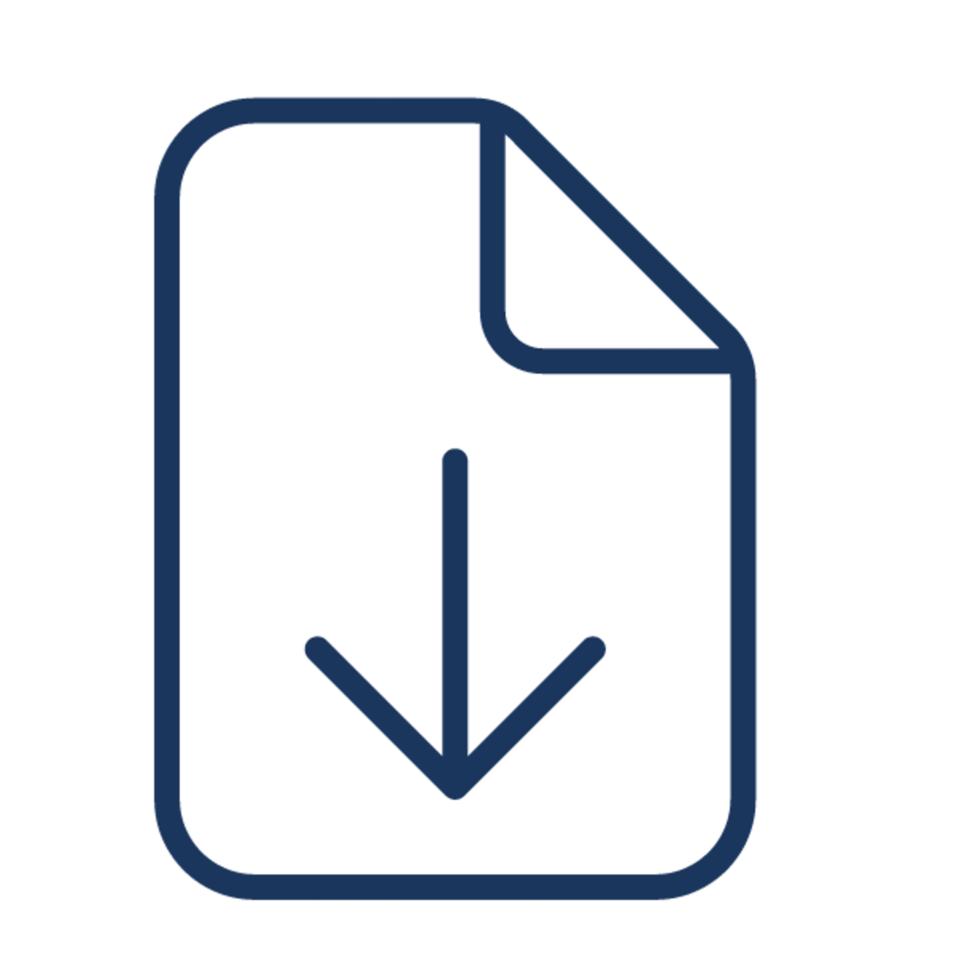 File Icon