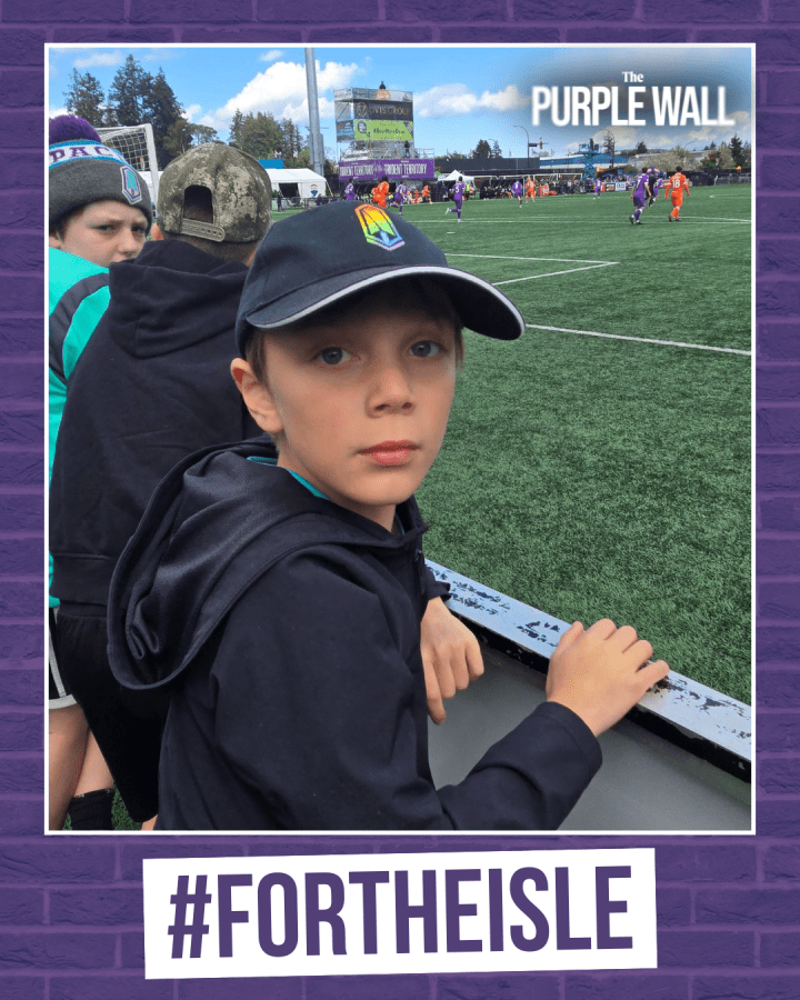 thepurplewall