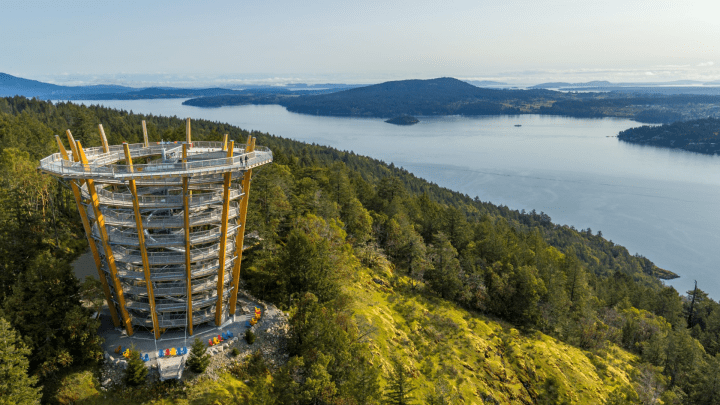 malahat skywalk