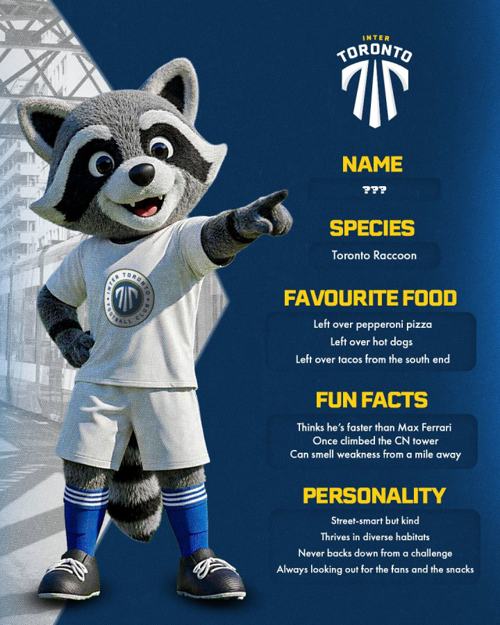 Raccoon Tickets Inter Toronto